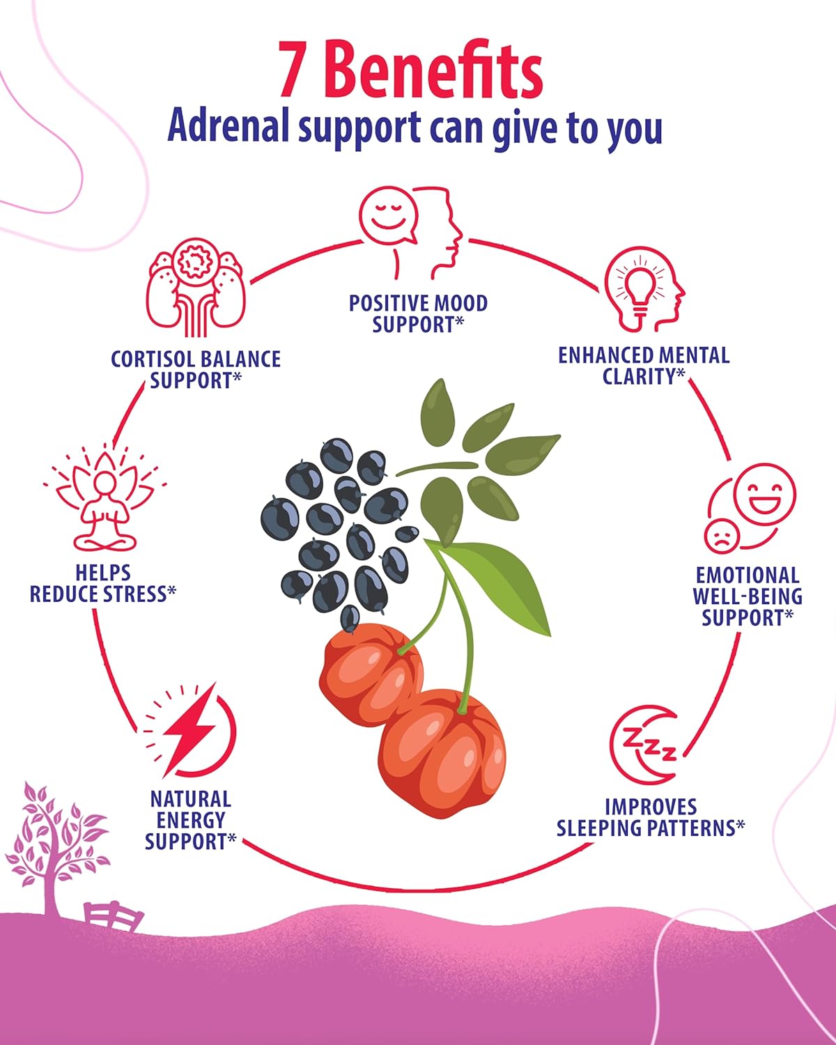 Adrenal Cortex Support Supplements