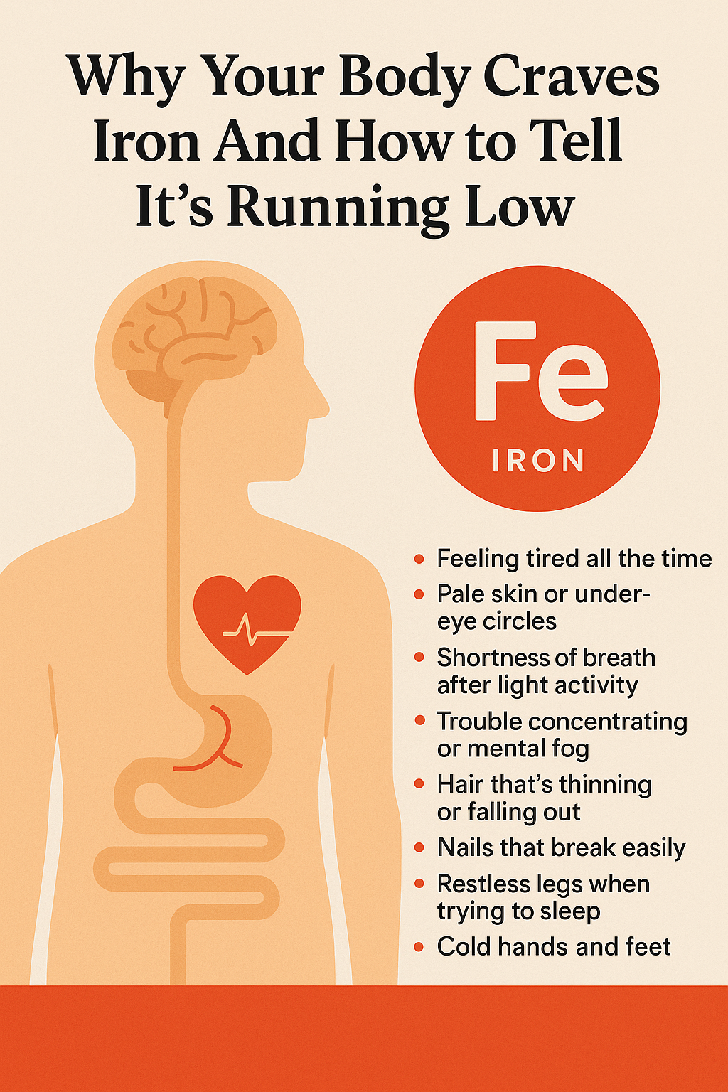 Why Your Body Craves Iron And How to Tell It’s Running Low